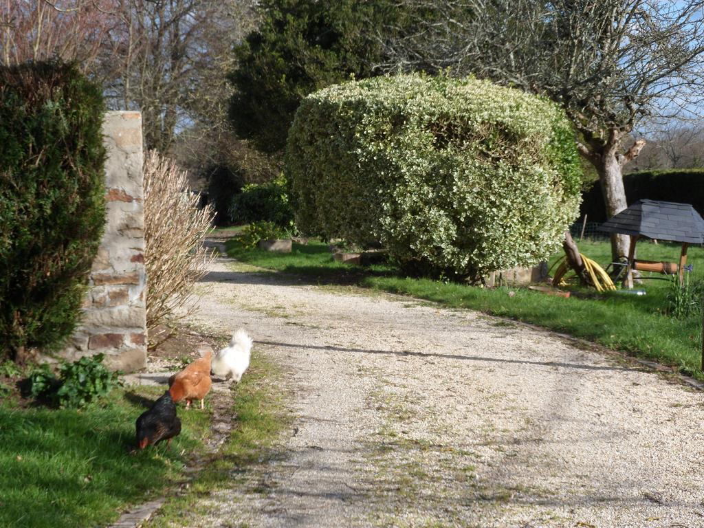 Farmhouse In An Amazing Private Park Guest House Vannes Exterior foto